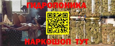 mdpv Краснознаменск