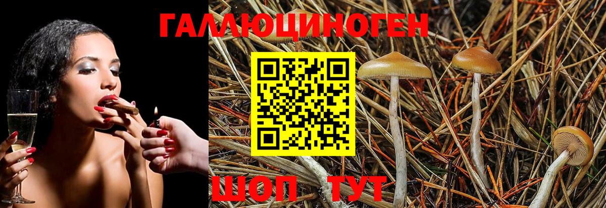 Куйбышев  Псилоцибиновые грибы MAGIC MUSHROOMS  Вход с VPN 
