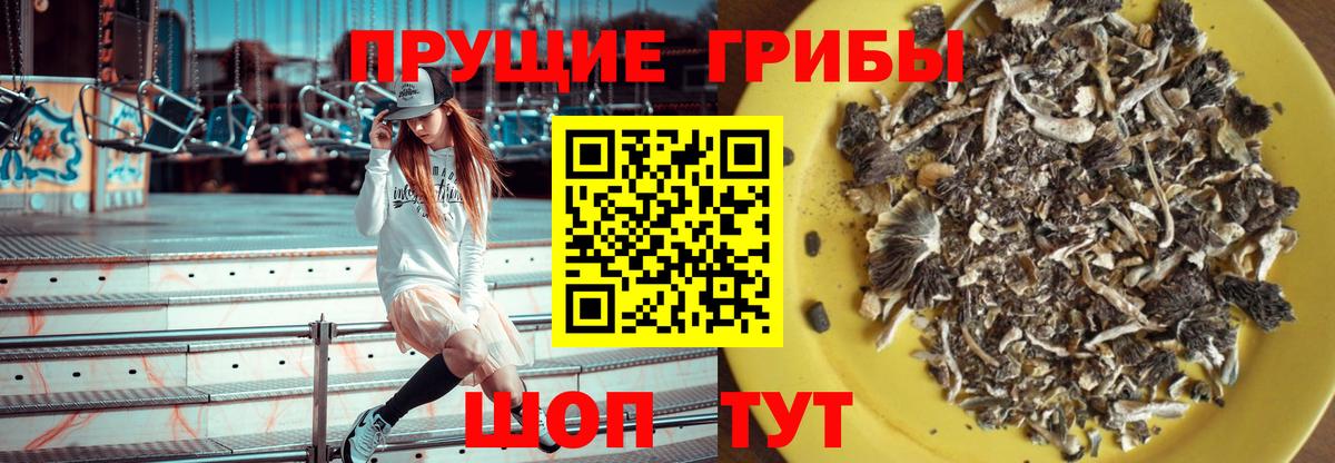 Галлюциногенные грибы Cubensis Куйбышев